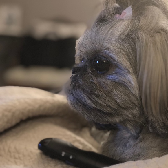 Meet your Posher, Antoine - Picture 1 of 1